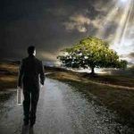 cuerpos-glorificados-3