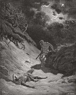 ecología del evangelio