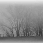 un-dia-gris_4