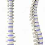 El evangelio y la tensegridad
