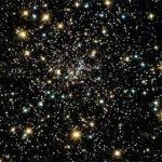 parabola-del-reino-6