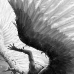 diferencias-tecnicas-10