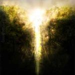 diferencias-tecnicas-2