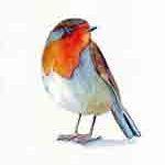 magnitudes-evangelio-min