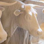 la-casa-de-israel-11