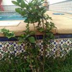 viajes-jareditas-6