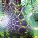 geometria-discipulado-1