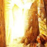 geometria-discipulado-4