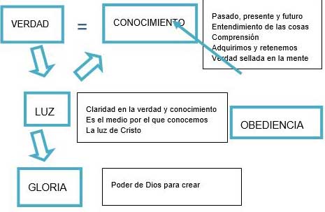 La luz y la verdad en el ecosistema