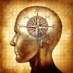 perfecta-elevacion-5