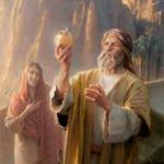 perfecta-elevacion-9