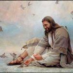 agradable-tribunal-jehova-4