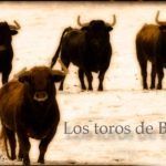 los-toros-de-basan-11