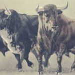 los-toros-de-basan-6