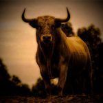 los-toros-de-basan-9