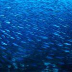 el-misterio-de-la-divinidad-5