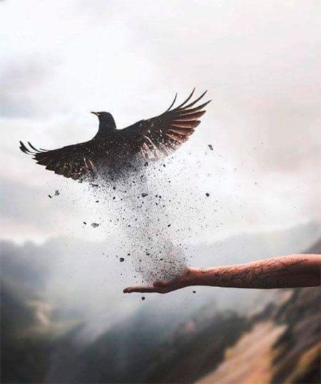 El mar de vidrio y la salvación del ecosistema