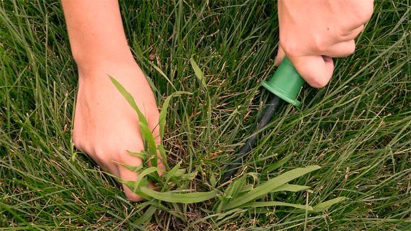 Oh escuchadme amigos míos!