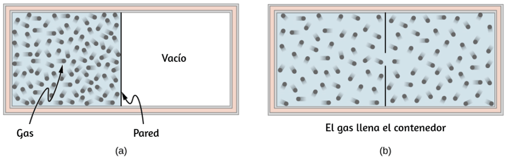 El orden de los cielos