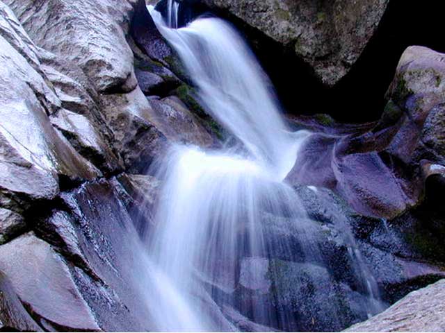 El Señor de la viña y el Cosmos