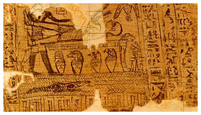 El Señor de la viña y el Cosmos