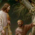 fruto-cultivado-Israel-13