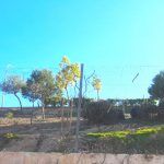 el lenguaje de las escrituras-4