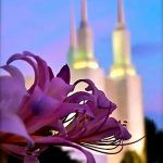 la-restauracion-elegancia-14