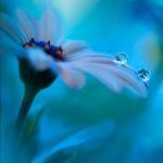 la-restauracion-elegancia-9