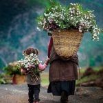 Las caravanas de Teman-7