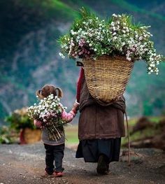 Las caravanas de teman