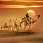 Las caravanas de Teman-8