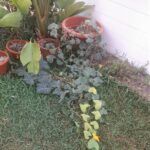 20240825_090732[1772]