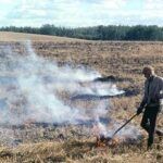 enseñanzas de moroni-2