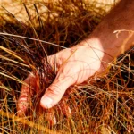 las enseñanzas de Moroni-2