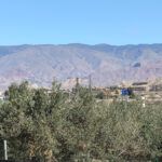 jesucristo y su lenguaje en DyC-9